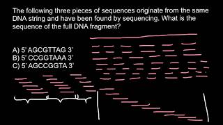 DNA Sequencing [upl. by Aicenra]