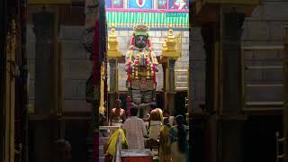 ஆஞ்சநேயருக்கு முத்தங்கி அலங்காரம் anjaneyartemple god [upl. by Llehsad902]