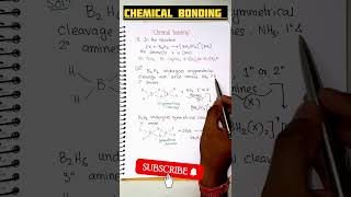 💥 Identify the amines ❓❓🔥🔥🔥shorts neet jeemains iitjee boardexam [upl. by Aridatha]