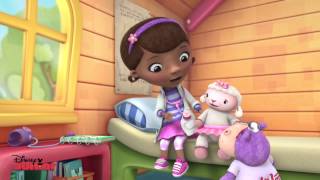 The Glider Brothers  Doc McStuffins  Disney Junior UK [upl. by Ranchod]