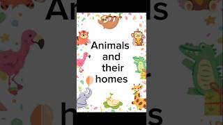 Animals and their homes  Animals and their habitat shorts [upl. by Bushey549]