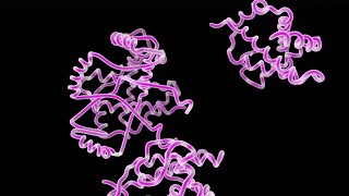 Types of Organic Molecules in Your Body [upl. by Jac]