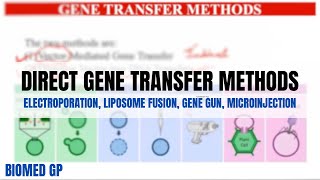 Direct Gene Transfer methods Electroporation Liposome fusion Gene Gun method Microinjection [upl. by Anayt]