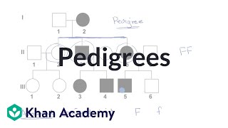 Pedigrees  Classical genetics  High school biology  Khan Academy [upl. by Dellora]