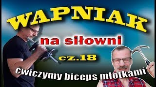 Cd ćwiczenie na biceps  dzis tzw młotkii [upl. by Otnicaj]