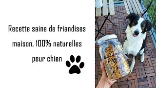 Recette maison de friandises pour chien 100 naturelles  sans céréales [upl. by Ninehc]