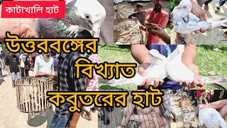 উত্তরবঙ্গের সবচেয়ে বড় কবুতরের হাট থেকে কবুতরের দাম জানুন  কাটাখালি হাট রাজশাহী  Pigeon Market [upl. by Adnaloj]