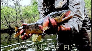 FLY FISHINGLIFE ON THE FLY with Chris Walklet [upl. by Annirok]