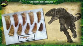 Carcharodontosaurus  ABCsaurio [upl. by Htiduj807]