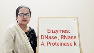 Enzymes DNase  RNase  Proteinase k [upl. by Uwton]