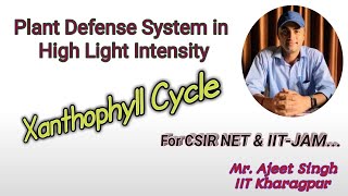 Xanthophyll Cycle II Light Stress in Plant II Photooxidation of PSII II Photooxidation of D1 Protein [upl. by Radmen]