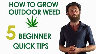 5 Beginner Quick Tips for Growing Outdoor Weed [upl. by Limoli]