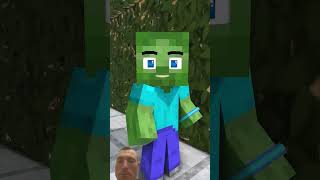 Panda Kong fu in minecraft😂funnyminecraft minecraft minecraftanimation minecraftmemes memes [upl. by Norbel]