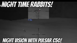 Night time rabbit control with the 17HMR amp Pulsar C50 scope [upl. by Larena]