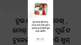 New Sambalpuri Shayri  Manar Katha shorts sambalpurishayari manarkathaa [upl. by Nnawtna]