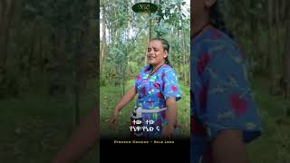 Etenesh Demeke  Balejano  እቴነሽ ደመቀ  ባለጃኖ  New Ethiopian Music 2023 [upl. by Aleksandr]