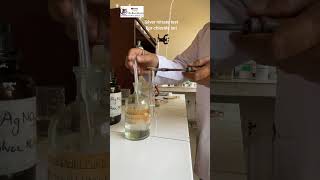 Silver nitrate chloride ion test with Practical Guru Monu Sharma [upl. by Ahcropal]