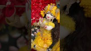 Kanhaji shortvideo trending blossomkrishna krishna bankebihari shyam viralyoutubeshorts [upl. by Htebaras]