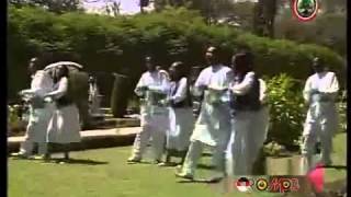 Oromo Music  Traditional Band Jimma [upl. by Zela]