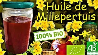 Comment faire son huile de MILLEPERTUIS [upl. by Ahseiyn]