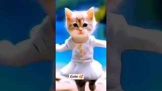 Amazing dancing cat 😻❤ dancingcat cutecat lovecats catvideos shortfeed 0129 [upl. by Elgna418]