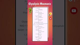 Glycoysis tricks  Easy glycoysis 🍇biology shortsfeed biochemistry glycolysis mnemonics [upl. by Adelric178]