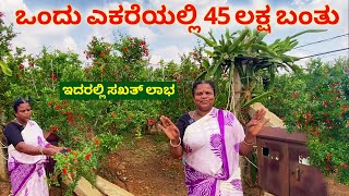 ಈ ಬೆಳೆ ಬಗ್ಗೆ ನನಗೆ ಏನೂ ಗೊತ್ತಿರಲಿಲ್ಲ  Farming in Kannada  Pomegranate farming in Karnataka  dalimbe [upl. by Kihtrak]