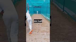 😂दो Ball का मेहमान  Malinga जैसा Balling Action😱 cricket ytshorts cricketshorts [upl. by Samson]