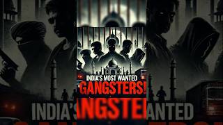 Top 5 India Most Gangster [upl. by Hasin]