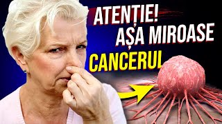 Aceste 3 Mirosuri apar atunci când faci CANCER la Colon 90 dintre cei Bolnavi nu știu ASTA [upl. by Anatola79]