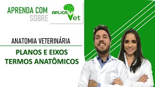 Anatomia Veterinária  Planos e Eixos amp Termos Anatômicos [upl. by Berlauda]