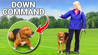 Expert Dog Trainer Reveals Down Command Secrets [upl. by Shayn204]