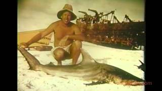 Conrad Limbaugh and the Sharks of Clipperton Island [upl. by Sanford]