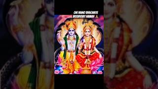 Om Namah bhagwate Lakshmi Narayane Namah 🙏ytshorts laxminarayan shivbhaktitrending [upl. by Hollington]