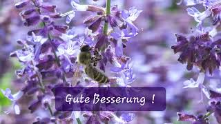 Gute Besserung [upl. by Alvis]