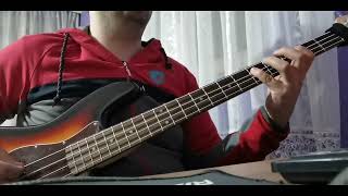 Sinan Sakic  Ej od kad sam se rodio bass cover [upl. by Artie]