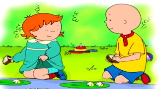 Caillou et le piquenique  Caillou en Français [upl. by Nylessoj]