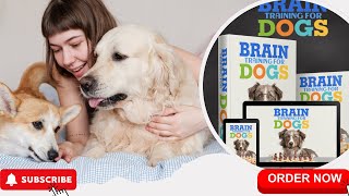 Best brain training exercises for dogs at home [upl. by Walrath]