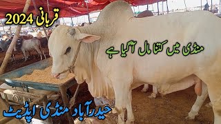 Mandi me Kitna mal agaya he  Hyderabad Mandi update  11 June 2024 [upl. by Yrak]