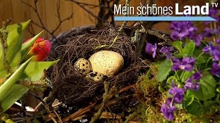 Ostern in Ostfriesland  die schönsten Höfe Norddeutschlands NDR [upl. by Bloom159]