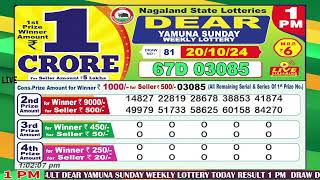 Dear Yamuna Sunday Weekly Lottery 100 PM 20102024 Dear Goverment Lotteries Live Draw Results [upl. by Adnaerb]