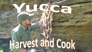 How to Harvest and Cook Yucca [upl. by Pejsach]