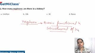 Nephrons in kidney [upl. by Lema]