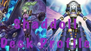 Shaddoll Deck Profile [upl. by Huang]