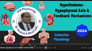 HypothalamoHypophyseal Axis amp Feedback Mechanisms 102024 by Dr Khaled A Abulfadle [upl. by Jaban]