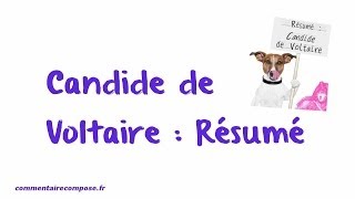 résumé Candide [upl. by Signe]