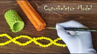 Making Cytoskeleton Filaments model [upl. by Moberg]