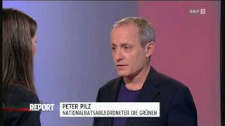 Peter Pilz zum Fall KarlHeinz Grasser  Report ORF  1522011  25 [upl. by Annette]