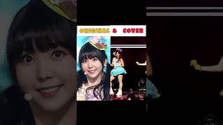 HAAHAAAA ORIGINAL Vs XIN kpop edit fyp viralvideo [upl. by Hgielek45]