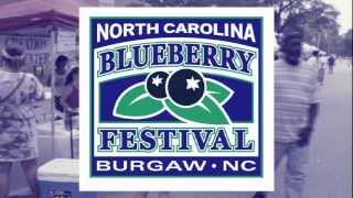 NC BLUEBERRY FESTIVAL Burgaw NC [upl. by Otto573]